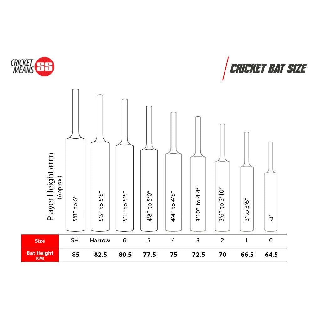 SS Ton Power Plus English Willow Cricket Bat - SH